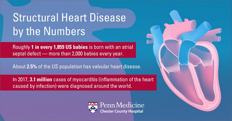 what-is-structural-heart-disease-chester-county-hospital-penn-medicine